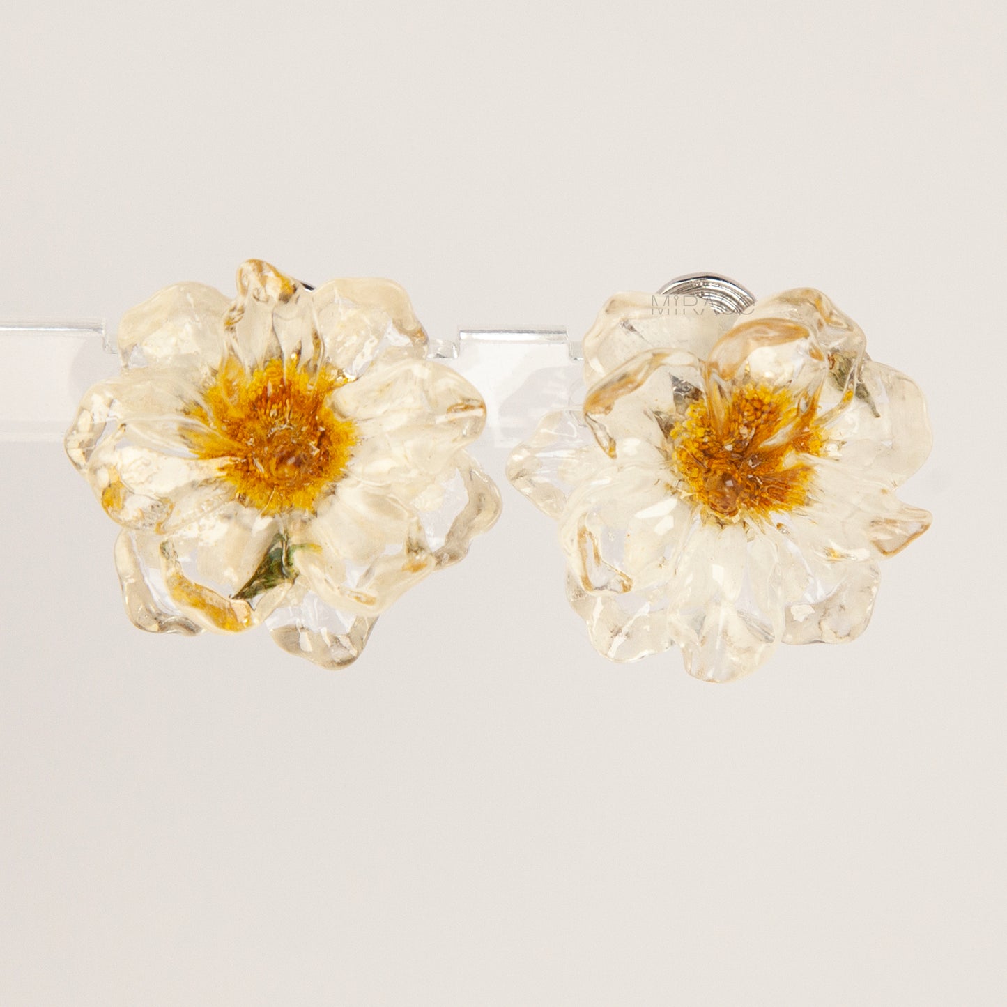 Pair of clear resin flower clip-on earrings containing real dried white and yellow flowers with silver-tone adjustable coil backings.