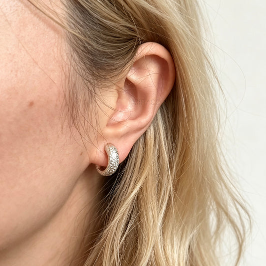 clip on earrings silver colour wear on model 