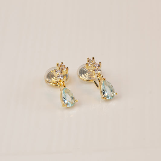 earrings in jewelry.